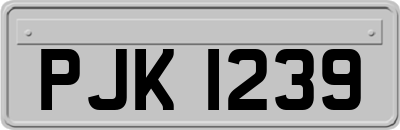 PJK1239