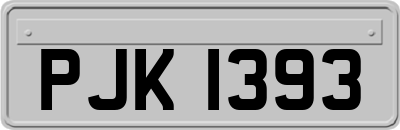 PJK1393