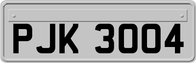 PJK3004