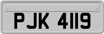 PJK4119