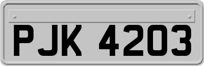 PJK4203