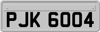 PJK6004