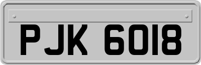 PJK6018