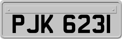 PJK6231