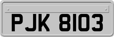 PJK8103