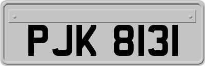 PJK8131