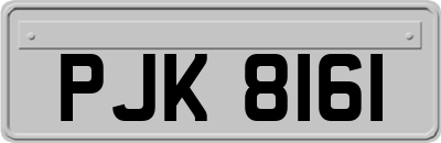PJK8161