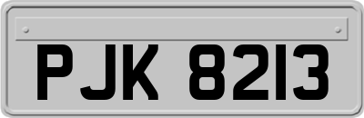 PJK8213