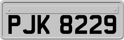 PJK8229