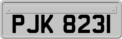 PJK8231