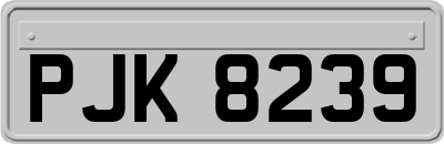 PJK8239