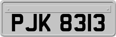 PJK8313