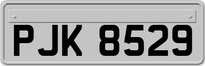 PJK8529