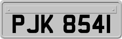 PJK8541
