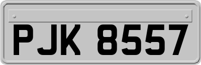 PJK8557