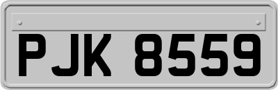 PJK8559