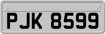 PJK8599
