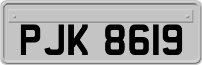 PJK8619