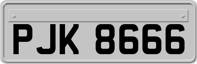 PJK8666