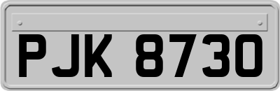 PJK8730
