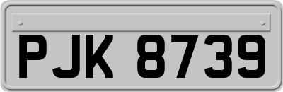 PJK8739