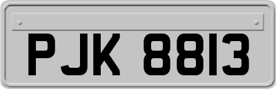 PJK8813