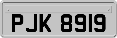 PJK8919