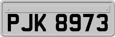 PJK8973