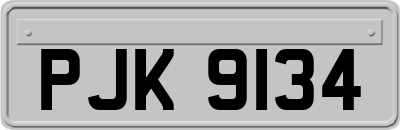 PJK9134