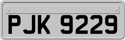 PJK9229