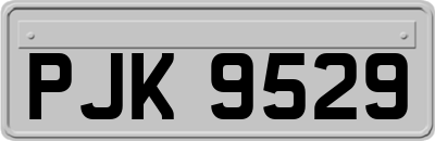 PJK9529