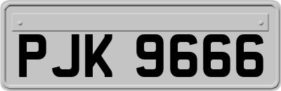 PJK9666