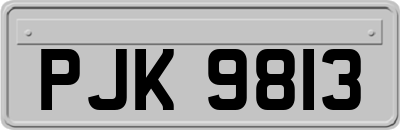 PJK9813