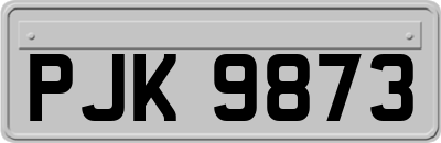 PJK9873