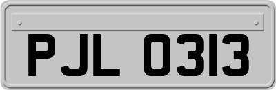 PJL0313