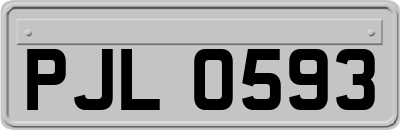 PJL0593