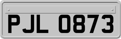 PJL0873