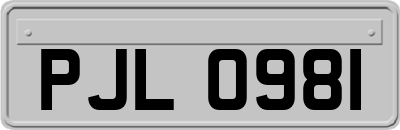 PJL0981