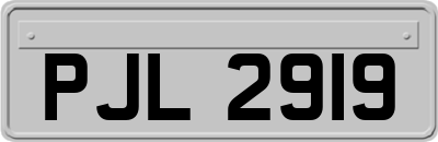 PJL2919