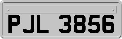 PJL3856