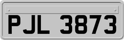 PJL3873