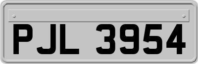 PJL3954