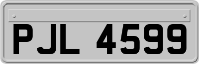 PJL4599