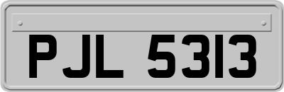 PJL5313