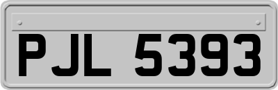 PJL5393