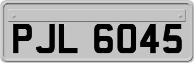 PJL6045