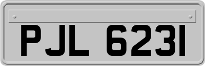 PJL6231