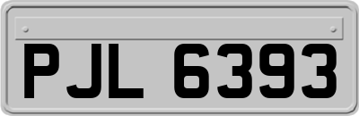 PJL6393