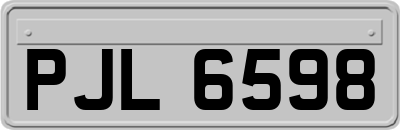 PJL6598