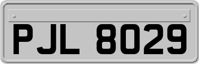 PJL8029